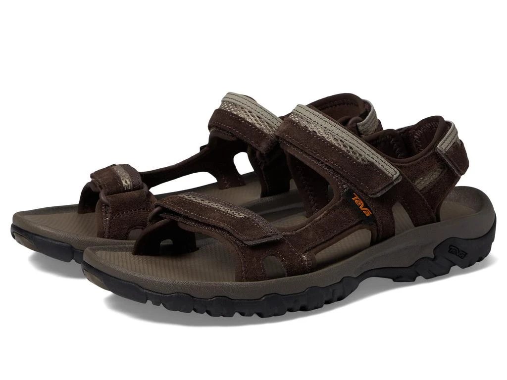 Teva Hudson 1