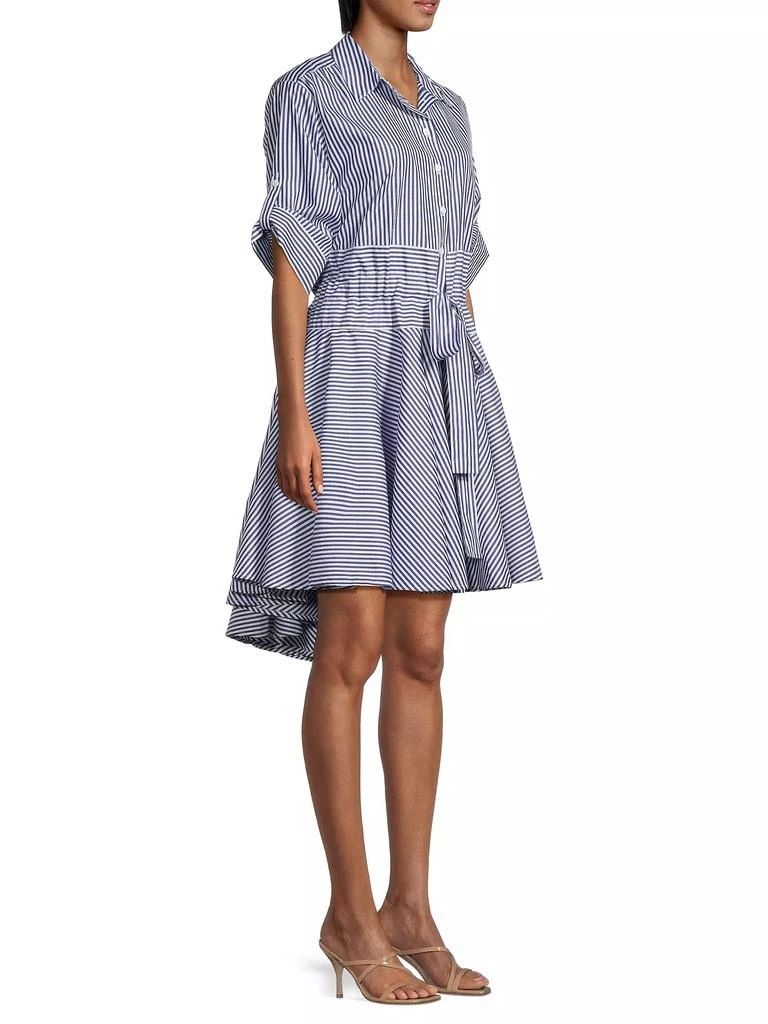 Harshman Meadow Striped Shirtdress 4