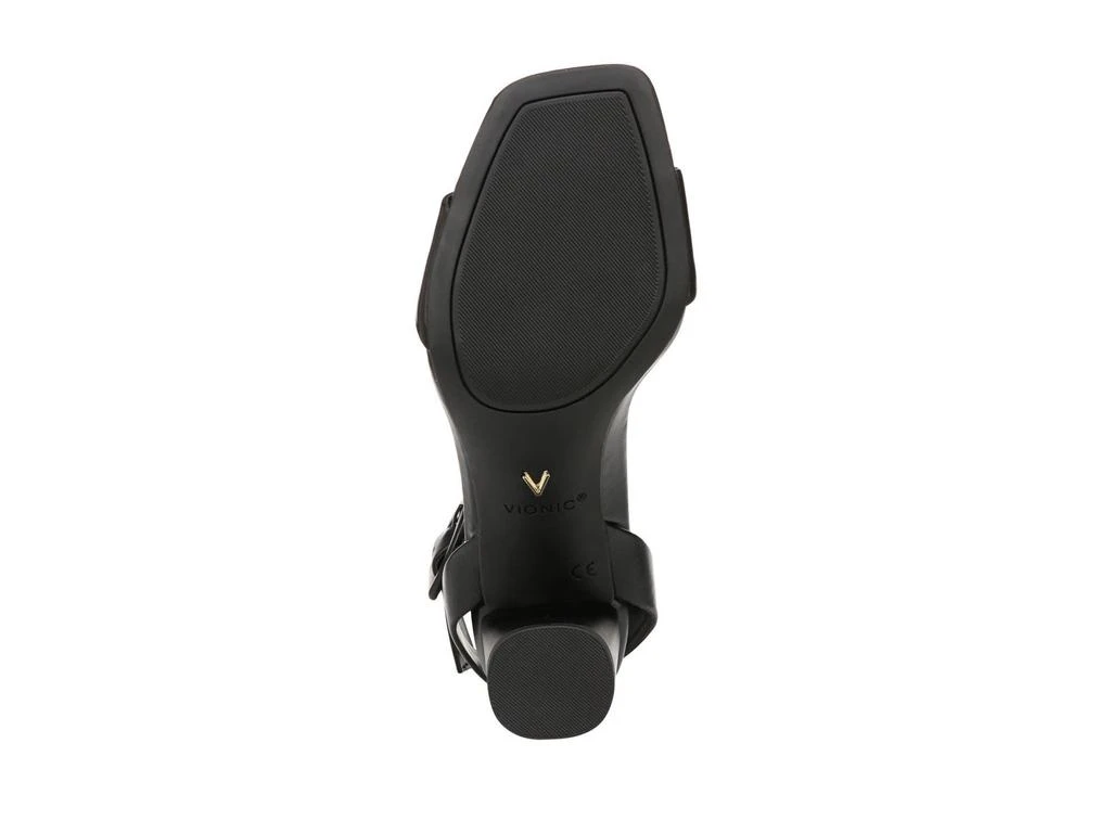 VIONIC Zinfandel 3