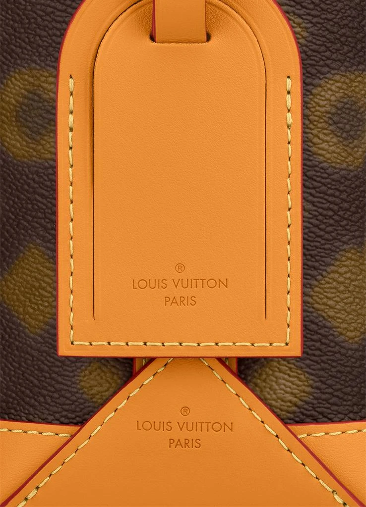Louis Vuitton Hobo Cruiser PM 6