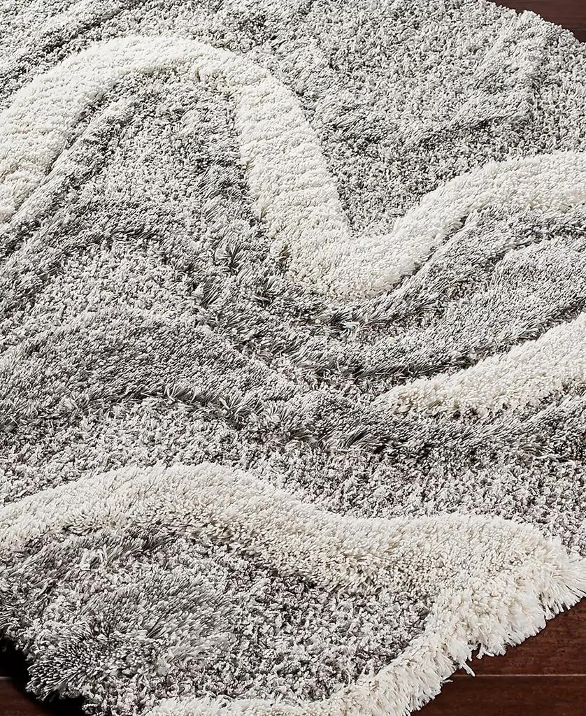 Surya Alta Shag ASG2303 5'3" x 7' Area Rug 2
