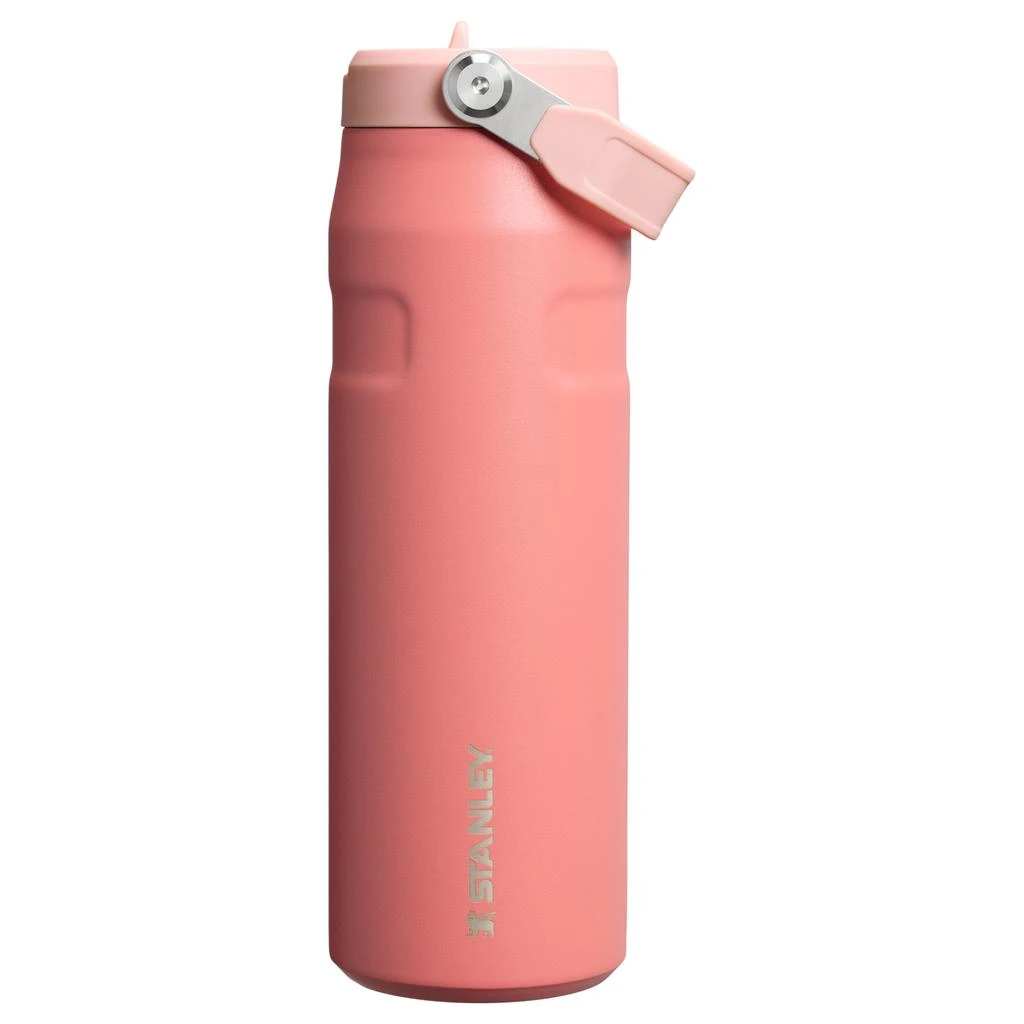 Stanley The IceFlow™ Bottle with Flip Straw Lid | 24 OZ 1