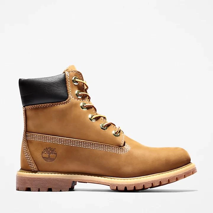 Timberland Women's Timberland® Premium 6-Inch Waterproof Boots in Brown 1