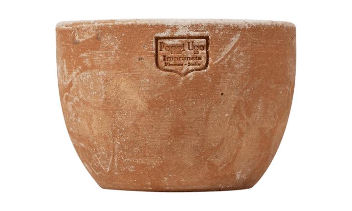 鉢・プランター Supreme Poggi Ugo S Planter Terracotta シュプリーム SUPREME 22SS Poggi Ugo Small Planter Terracotta