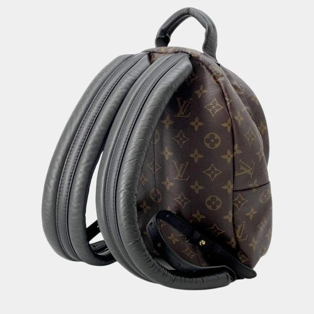 Louis Vuitton Louis Vuitton Noir Monogram Palm Springs Backpack Size Pm 3