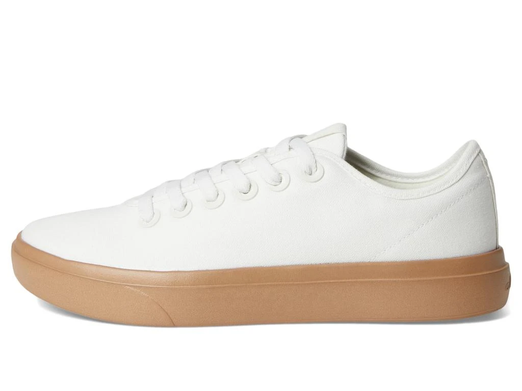 allbirds Canvas Piper 4