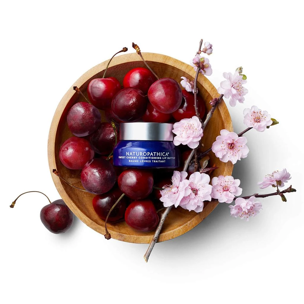 Naturopathica Naturopathica Sweet Cherry Conditioning Lip Butter 3