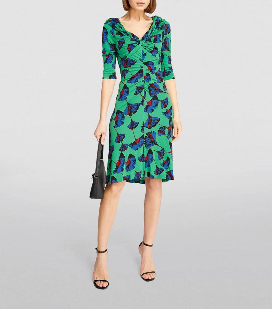 DVF Diane von Furstenberg Floral Print Jim Dress 2
