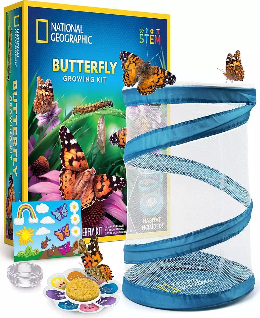National Geographic Butterfly Growing Kit 3