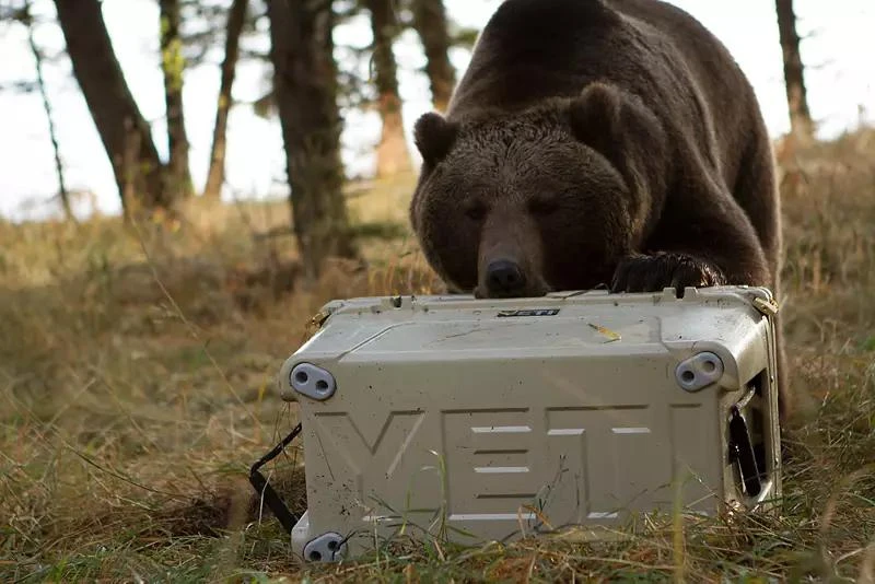 YETI YETI Tundra 105 Cooler 4