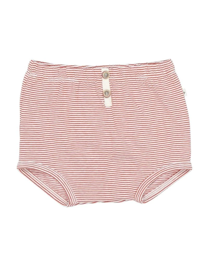 1 + IN THE FAMILY Brief