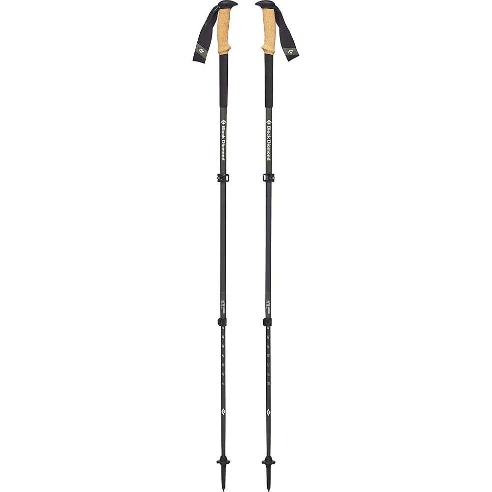 Black Diamond Black Diamond Alpine Carbon Cork Trekking Pole 1