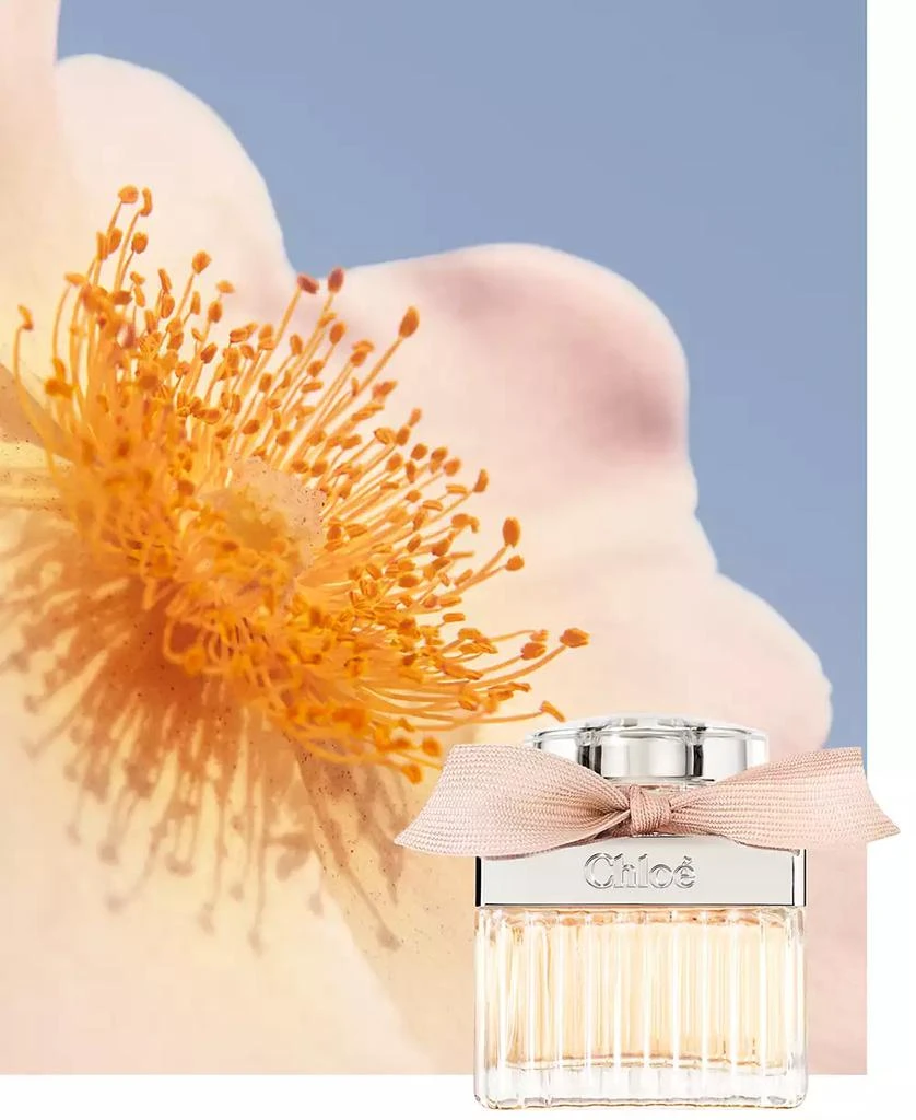 Chloé Chloé Eau de Parfum, 3.3 oz. 8