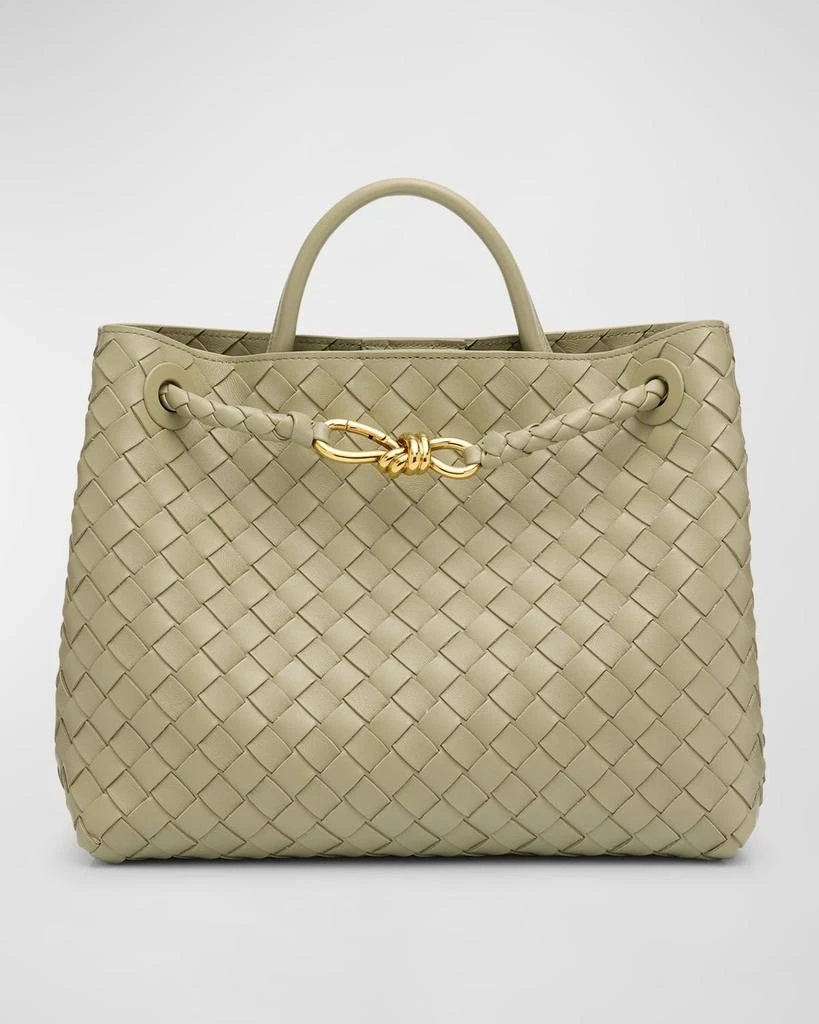 Bottega Veneta Medium Andiamo Bag 1