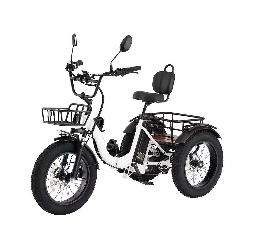 Mikolo Electric Tricycle for Adults, 20"x4" Folding Fat Tire Electric Trike, 750W(Peak 1350W) Motor Etrike, 48V13Ah Battery, 3-Wheel Electric Bike