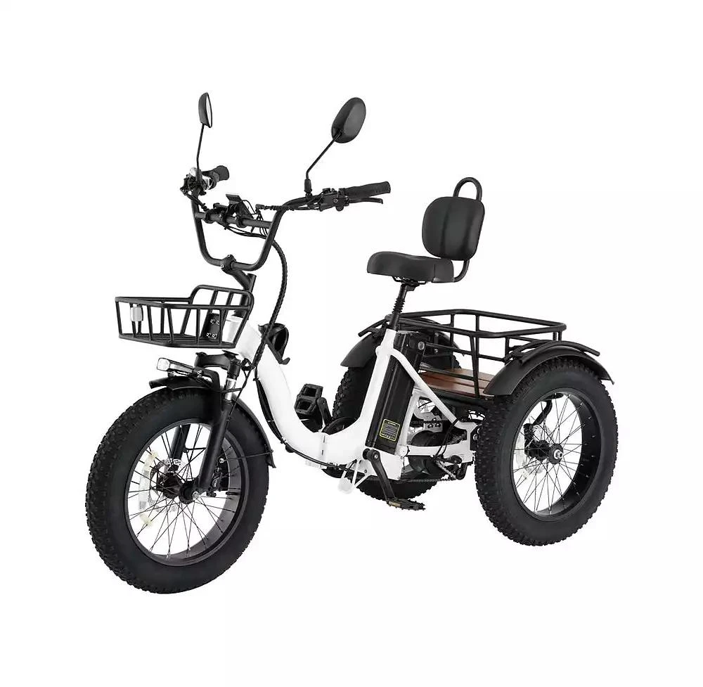 Mikolo Electric Tricycle for Adults, 20"x4" Folding Fat Tire Electric Trike, 750W(Peak 1350W) Motor Etrike, 48V13Ah Battery, 3-Wheel Electric Bike 1