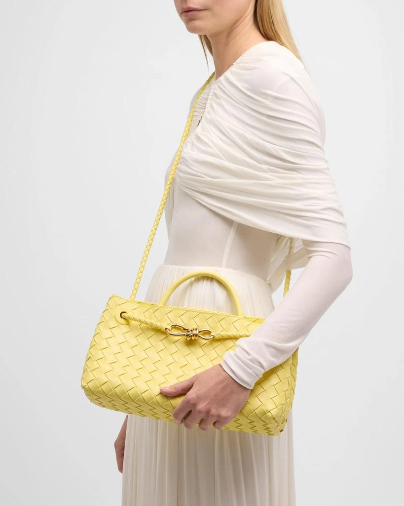 Bottega Veneta Small East-West Andiamo Bag 3