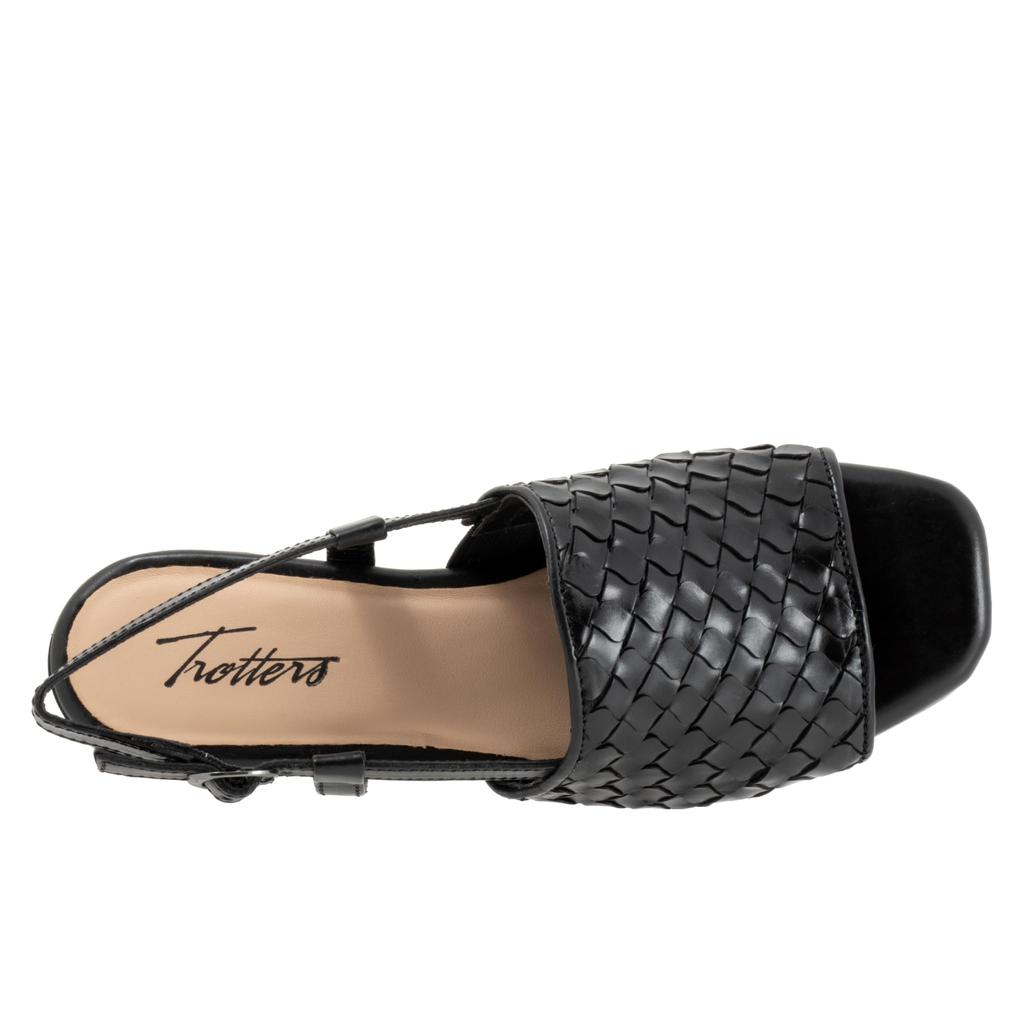 Trotters Nola