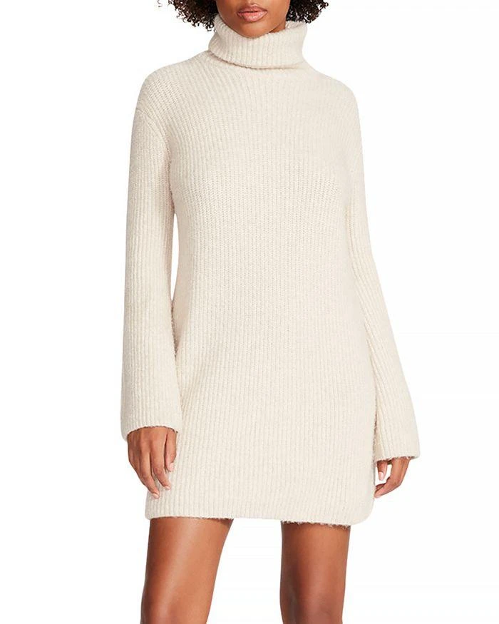 Steve Madden Abbie Sweater Dress 1