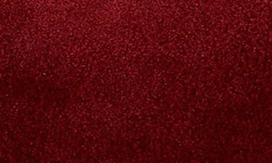 Madewell The Mini Oiled Suede Bag 3