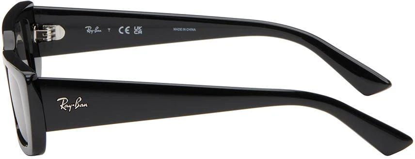 Ray-Ban Black Teru Sunglasses 3
