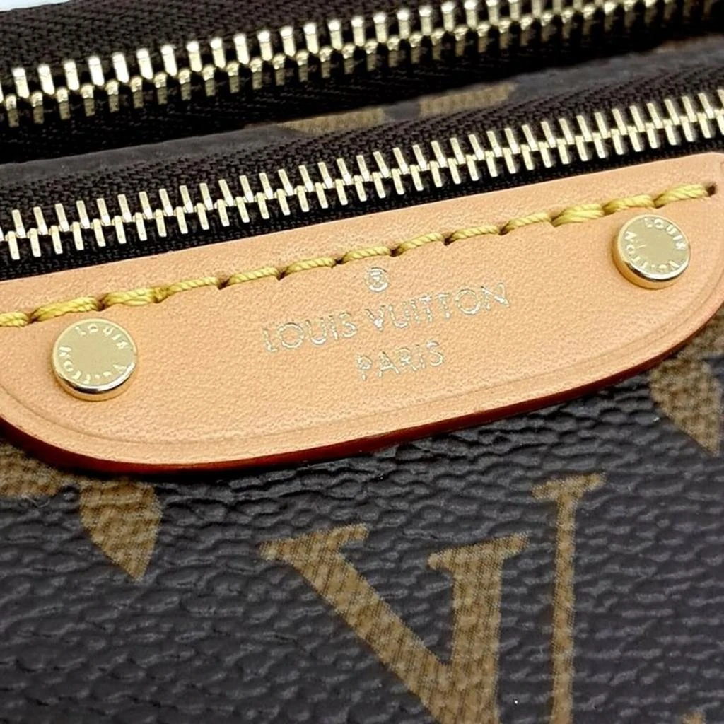 Louis Vuitton Louis Vuitton Brown Canvas Monogram Mini Bumbag  7