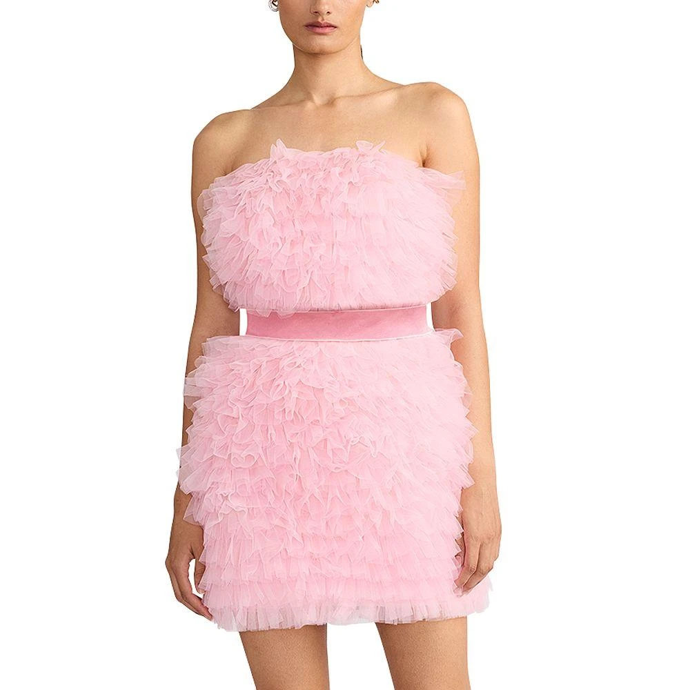 Zac Posen Wicked x Zac Posen Textured Tulle Mini Dress 1