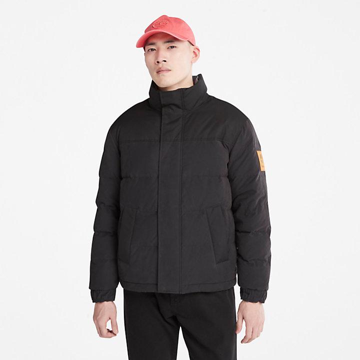 Timberland Welch Mountain Reversible Puffer Jacket for Men in Black