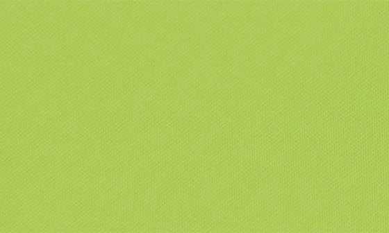 Slate & Stone Le Pliage Nylon Canvas Backpack 8