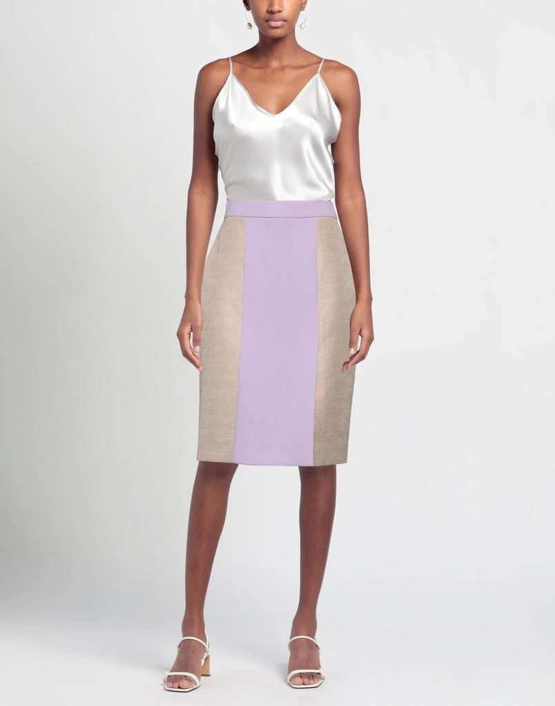 ROKSANDA Midi skirt 2