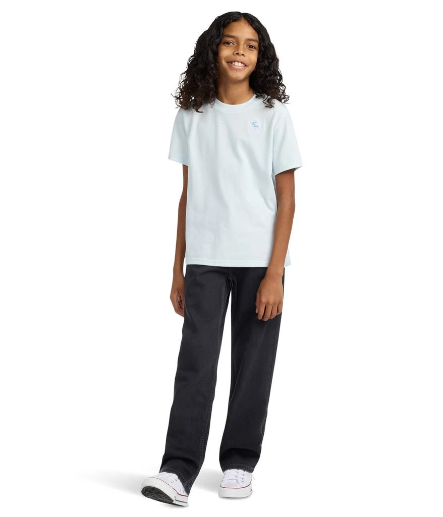 abercrombie kids Afb Baggy Fit Jeans (Big Kids) 5