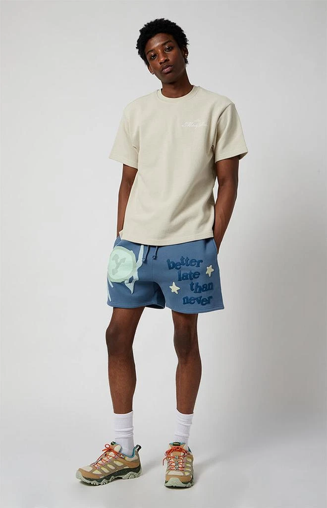 PacSun Better Puff Fleece Sweat Shorts 2