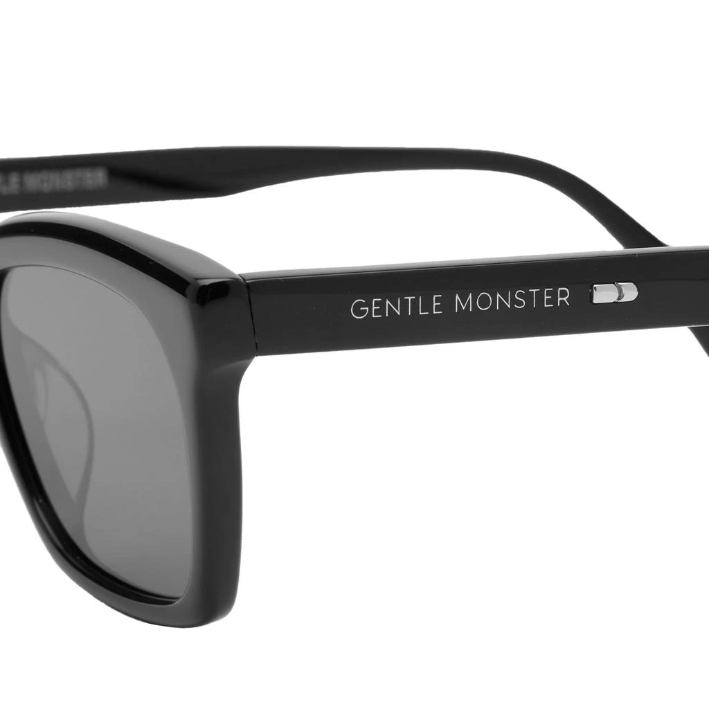 Gentle Monster Gentle Monster Didion Sunglasses 3