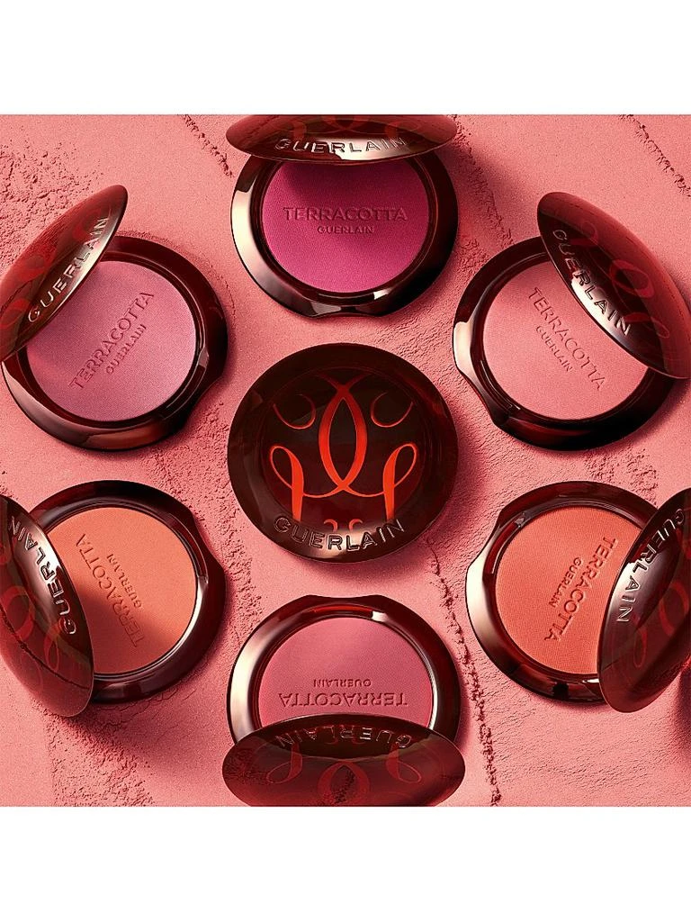 Guerlain Terracotta Powder Blush 7