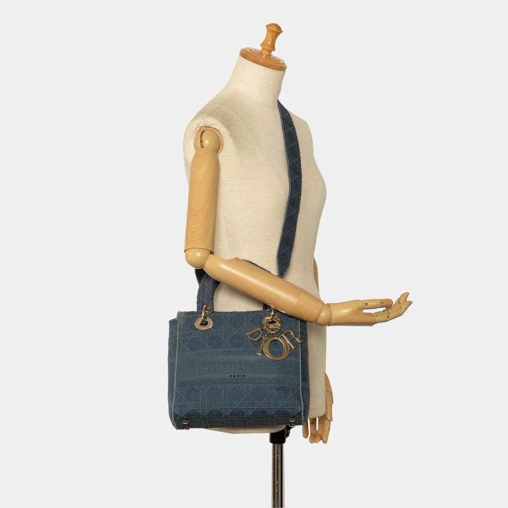Dior Dior Blue Medium Cannage Lady D-Lite 14