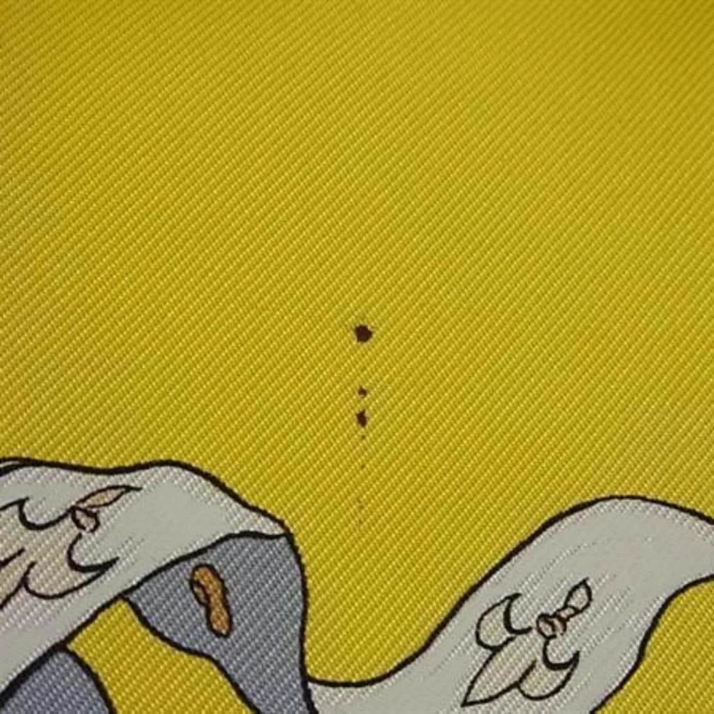 Hermes Silk Scarf (Pre-Owned) 2