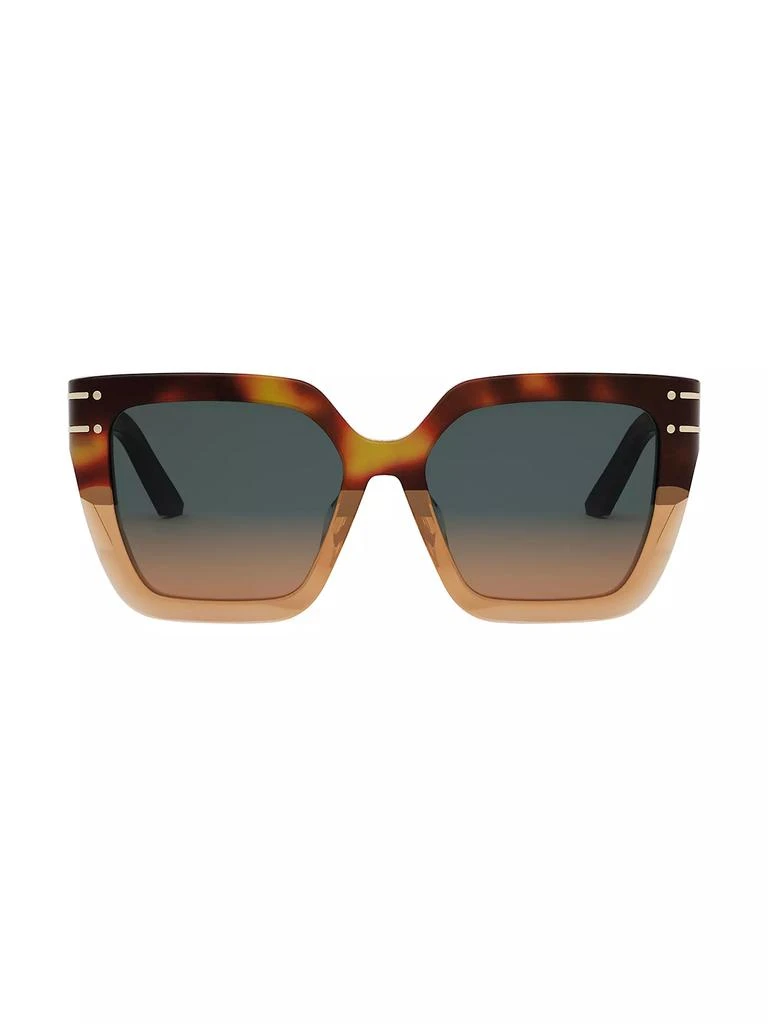 Dior DiorSignature S10F 55MM Butterfly Sunglasses 2