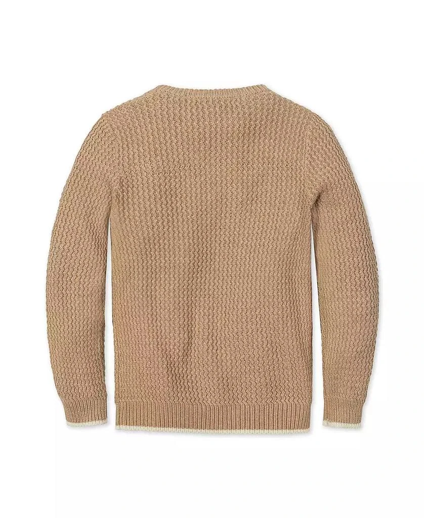 Hope 
Henry Baby Boys
 Organic Long Sleeve Crewneck Sweater with Buttons 4