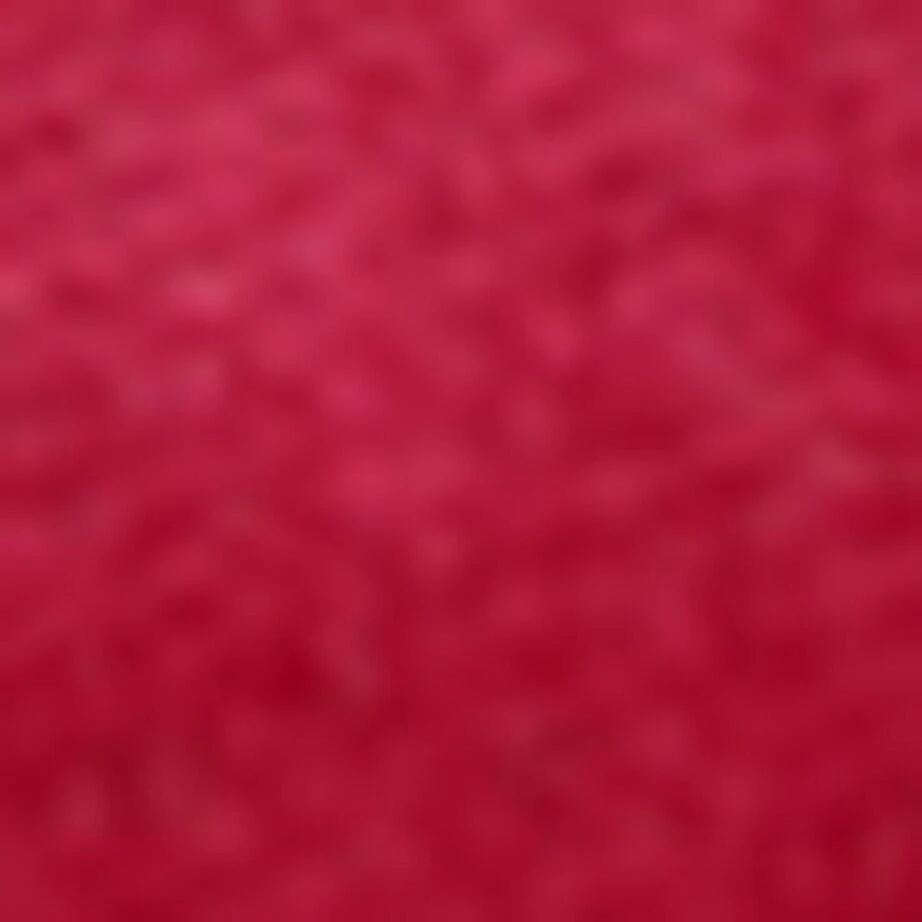 Flabelus Velvet Frances Mary Janes 5