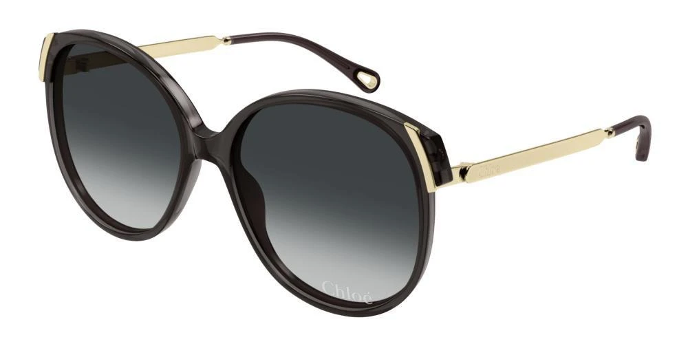 Chloé Chloé Eyewear Oval Frame Sunglasses 2