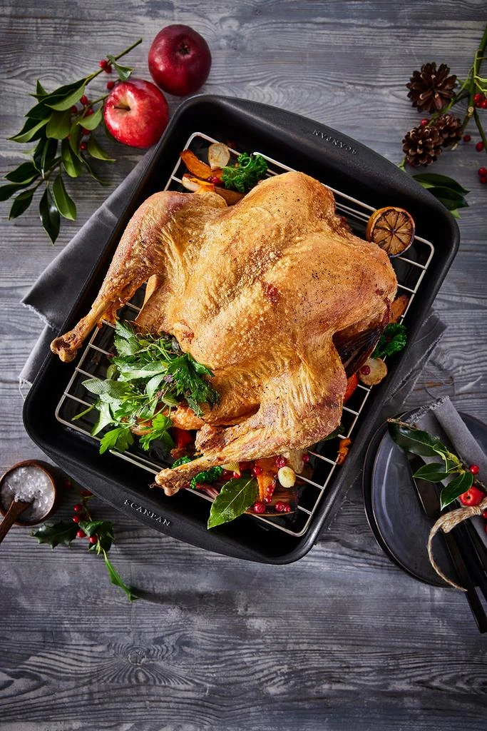 Scanpan Classic 17.5" x 12.5" Roasting Pan, 8.25 Qt. 5