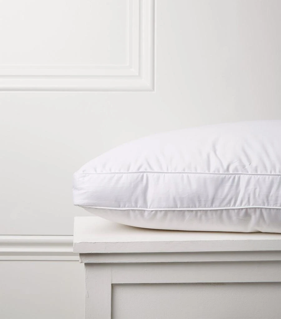 Brinkhaus Soft Down Around Pillow (50cm x 75cm) 2