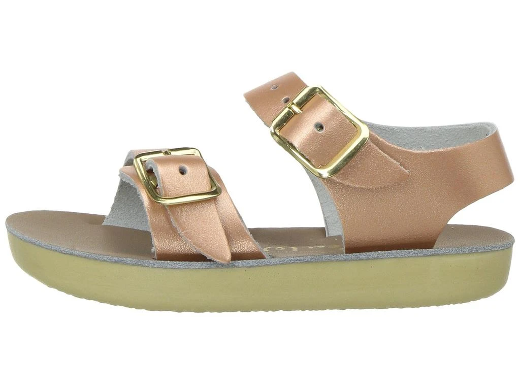 Salt Water Sandal by Hoy Shoes Sun-San - Sea Wees (Infant/Toddler) 4