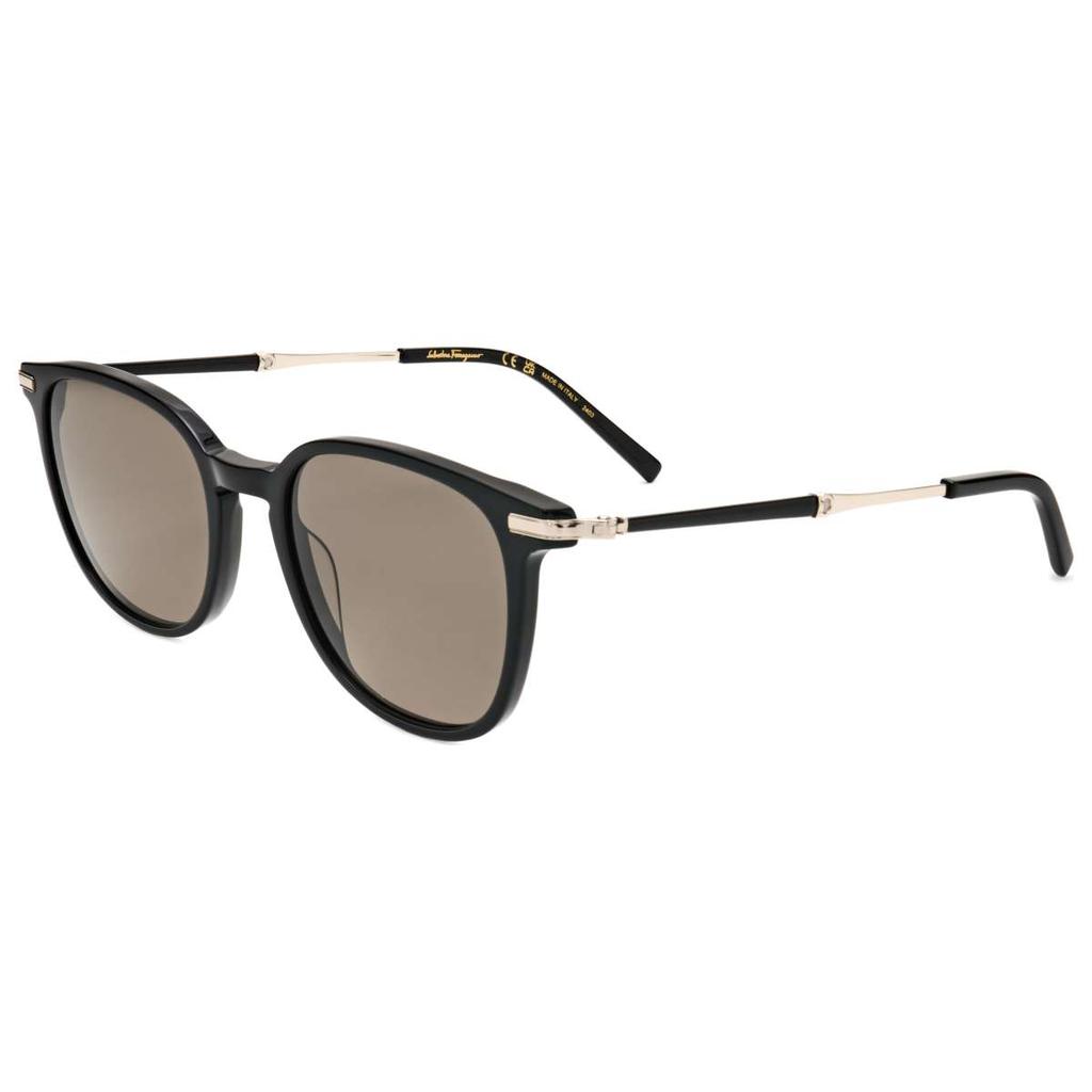Salvatore Ferragamo Ferragamo Men's Black Sunglasses