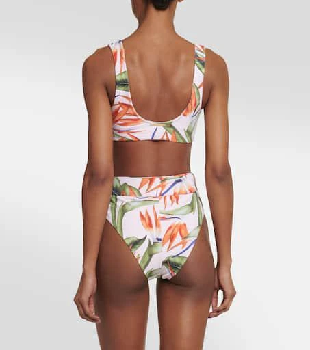 Alexandra Miro Kamala printed bikini top 3