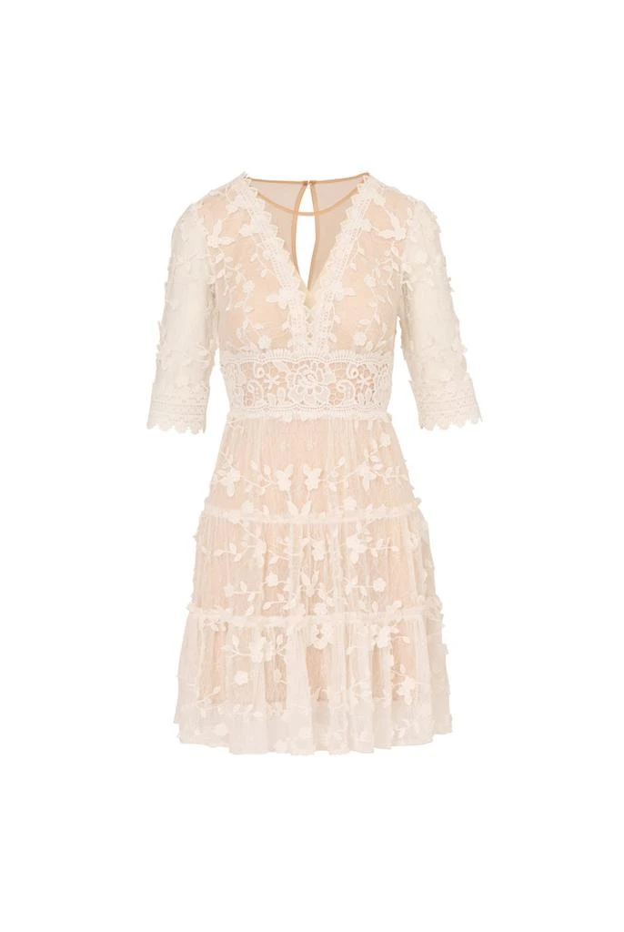 Adrianna Papell Lace embroidery dress - Dresses & Skirts - BeyondStyle