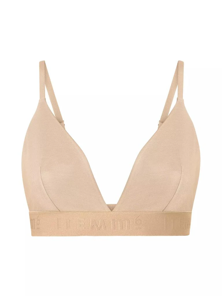 Item M6 All Mesh Triangle Bralette 1