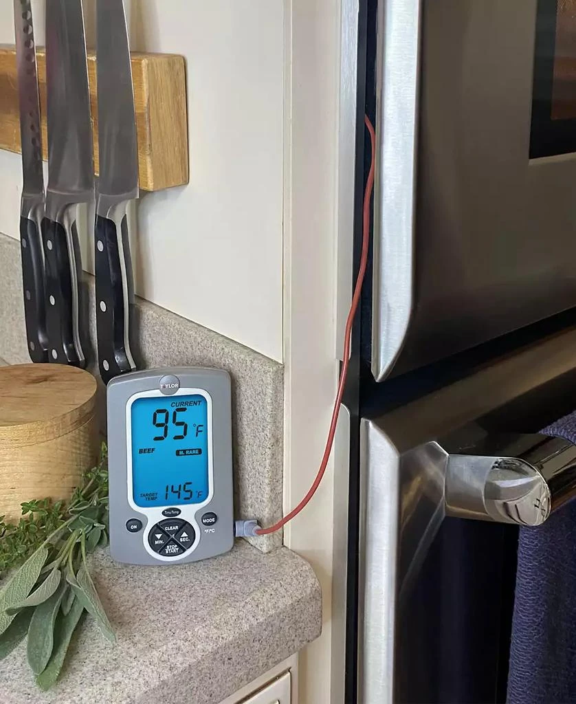 Taylor Digital Probe Thermometer 4