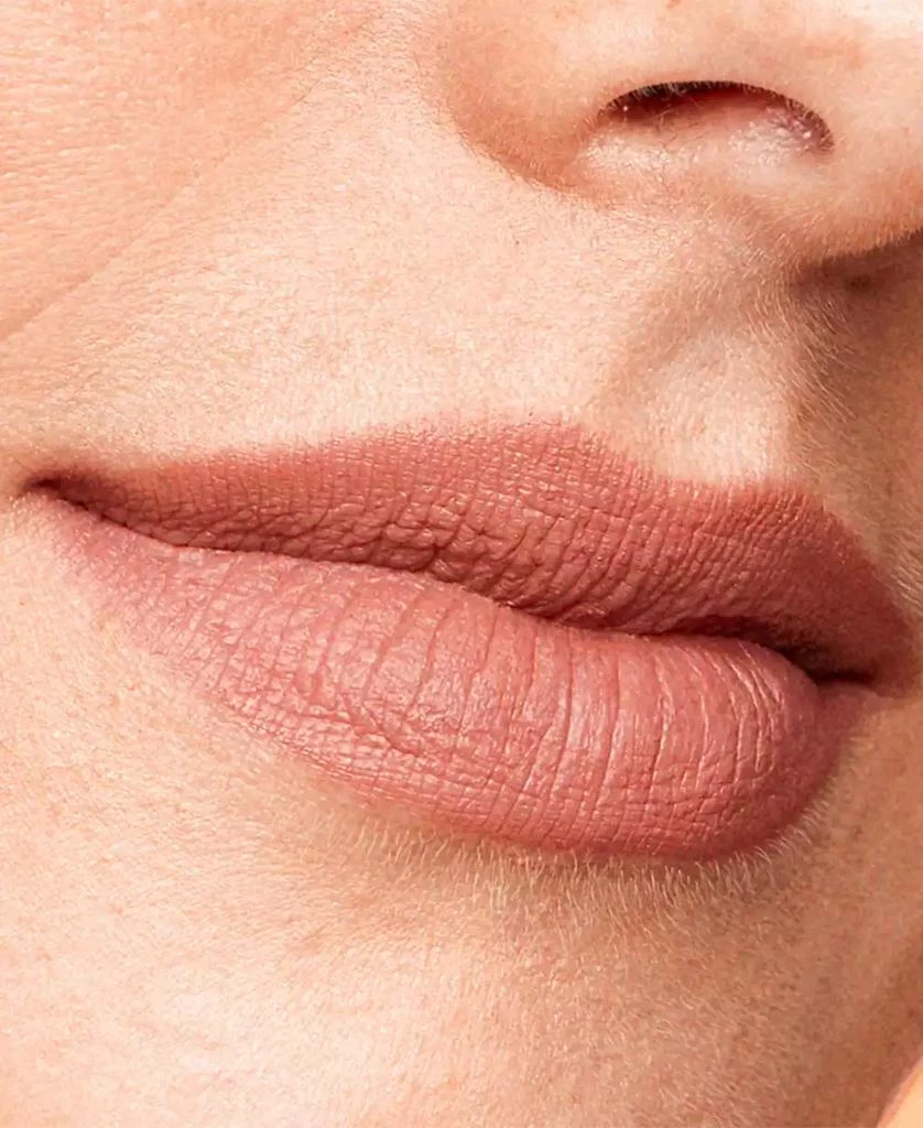 NUDESTIX Magnetic Lip Plush Paint 3