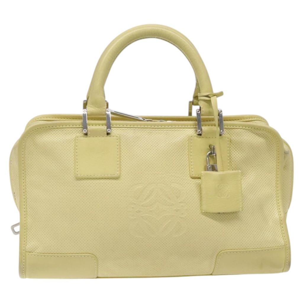 Loewe Amazona Leather Handbag (Pre-Owned)